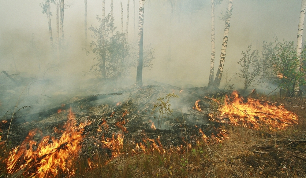 ОБЕГ: Салхи шуурга ихтэйн улмаас гарсан түймэр богино хугацаанд их талбайг эзэлж байна